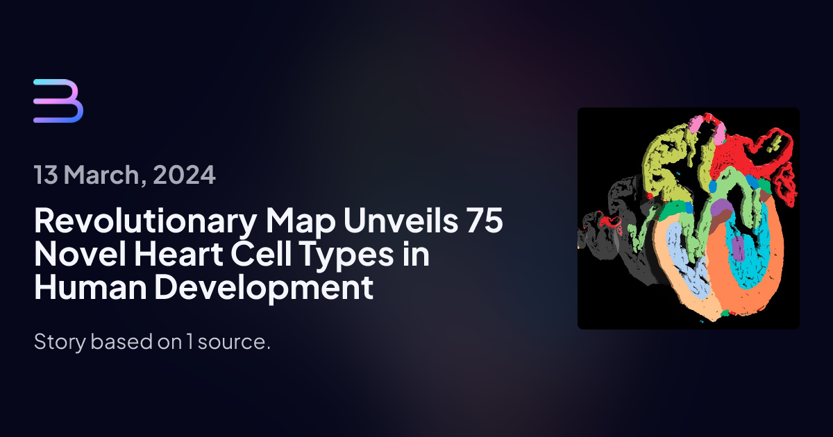 Revolutionary Map Unveils 75 Novel Heart Cell Types in Human ...