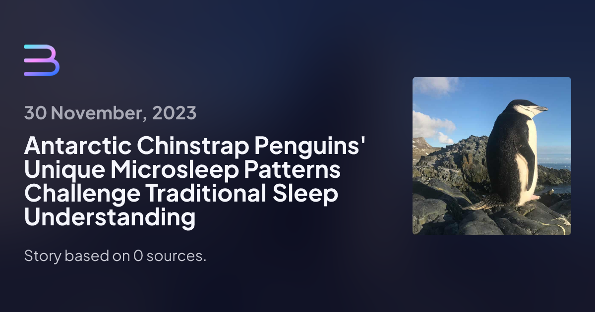 Antarctic Chinstrap Penguins' Unique Microsleep Patterns Challenge ...
